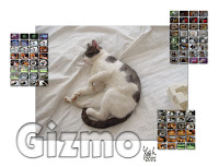 gizmo2005.jpg