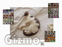 gizmo2003.jpg